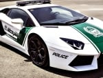 dubai police car