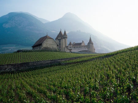 Swiss Countryside - vineyard, swiss, nature, farm, landscape, swiss countryside, countryside