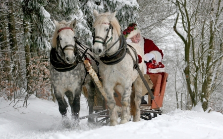 Merry Christmas! - christmas, winter, craciun, old man, snow, iarna, horse, santa claus