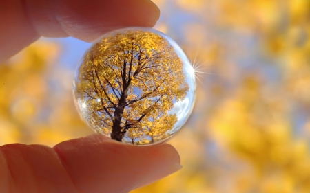 Autumn tree - hand, toamna, yellow, autumn, leaf, tree, glass ball