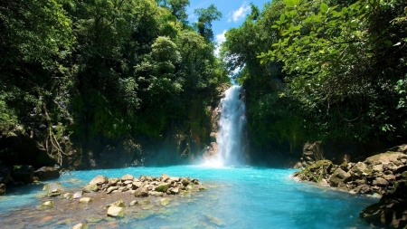 Rio Celeste National Park, Costa Rico - stones, trees, blue, river