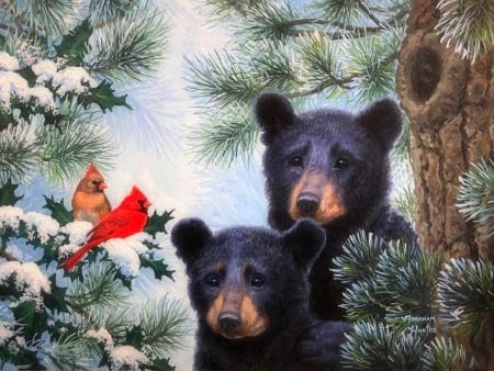 The Wonder of Christmas - winter, paintings, snow, holidays, xmas and new year, bears, cardinals, nature, Christmas, love four seasons, winter holidays, animals, woods