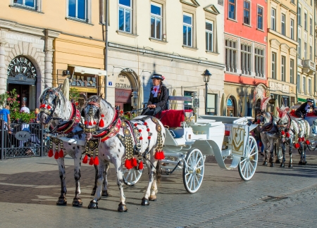 Krakow /Poland - horses, taxi, poland, krakow