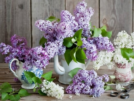 TEAPOT OF LILACS - flowers, image, teapot, lilacs