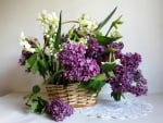 BASKET OF LOVELY LILACS