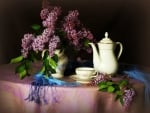 MORNING TEA AND LILACS