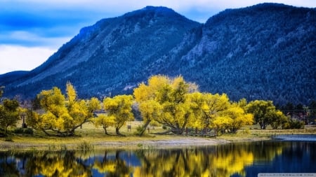 Palmer Lake Reflection - trees, nature, yellow, autumn, lake, reflection, palmer