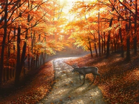 Autumn Bliss - attractions in dreams, autumn, forests, trees, parks, roads, deer, nature, love four seasons, leaves, paintings, colors, fall season