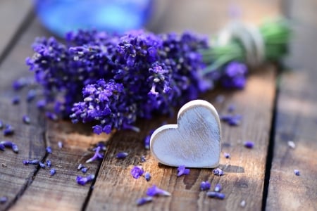 Lavender with ♥