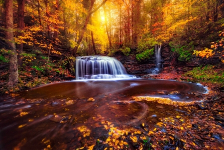 Waterfall in fall forest - trees, beautiful, creek, stream, forest, fall, colorful, waterfall, autumn, foliage