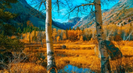 Autumn in mountains - sky, autumn, mountain, trees, hills, rocks, fall, forest, beautiful, golden, pond