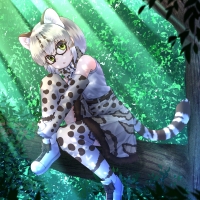 Margay