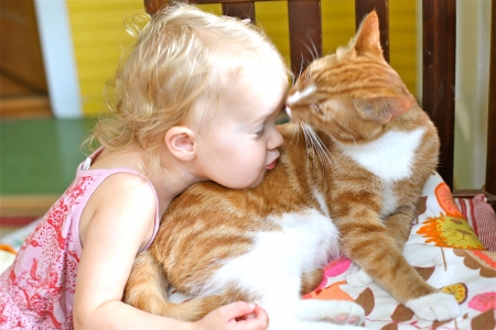 Muuuah!! - adorable, cat, lick, ginger, kiss, orange, sweet, cute, little girl