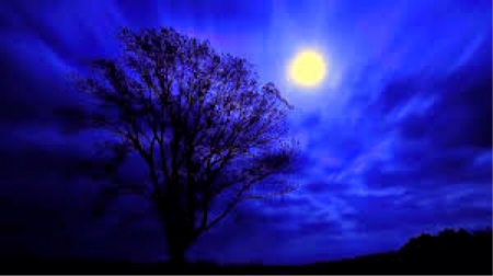 Blue Night - clouds, moon, trees, art, sky