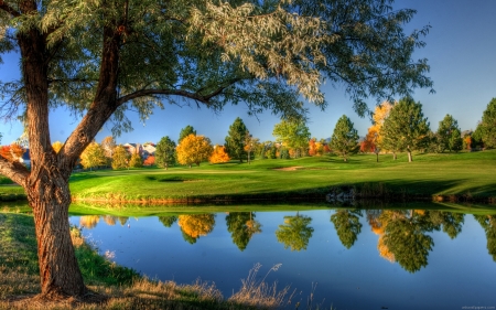 Clear Autumn Morning - fall, trees, reflection, water, leaves, colors