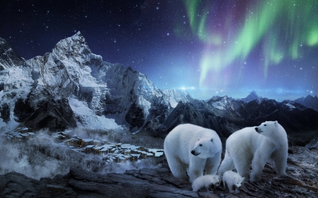 THE DARK NIGHT - sky, stars, bears, polar, mountains, aurora