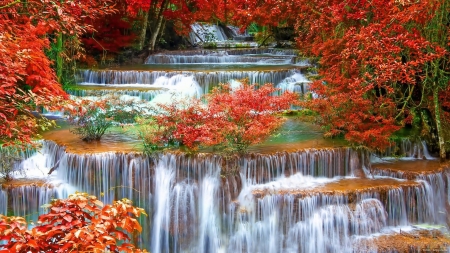 Autumn waterfall - foam, scenery, amazing, splendor, landscape, scene, forest, leaves, plants, nice, trees, water, beautiful, colors, cool, fall, nature, waterfall, awesome, autumn, leaf