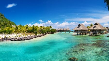 Nui Resort,Bora Bora,South Pacific - bungalows, trees, nature, summer, beach, resort, palm