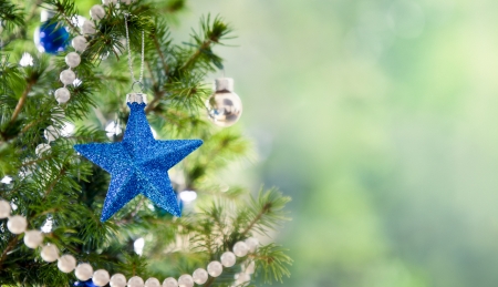 Merry Christmas! - craciun, star, blue, card, green, tree, christmas, deco