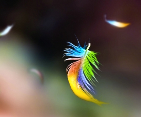 Feathers - colorful, floating, yellow, blue, green, feather, orange