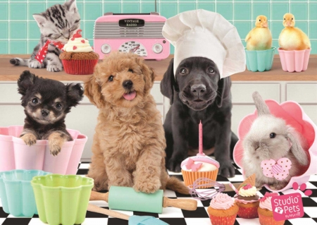 :) - hat, blue, dog, pink, bunny, funny, cute, caine, kitchen