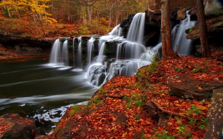 Autumn cascades - autumn, cascades, stream, waterfall, foliage, creek, fall, forest, beautiful, leaves