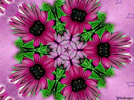 DAISY KALEIDOSCOPE