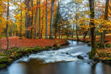 Autumn Colors - river, Autumn, trees, Fall, forest, rocks, leaves