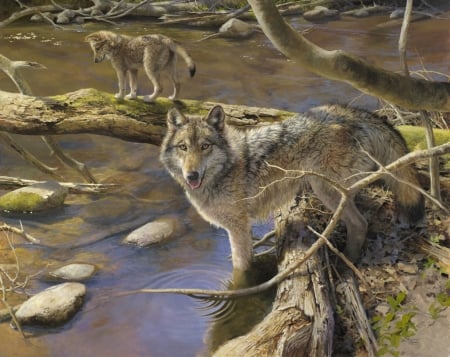 Wolves - summer, animal, water, lup, al agnew, art, wolf, pictura, painting