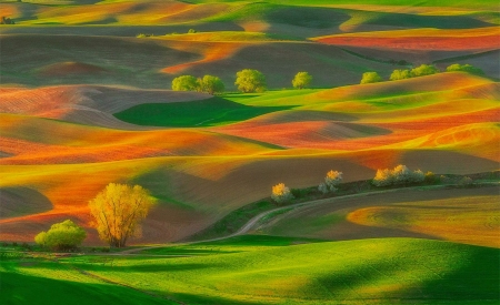 Autumn hills - hill, view from the top, autumn, green, orange, texture