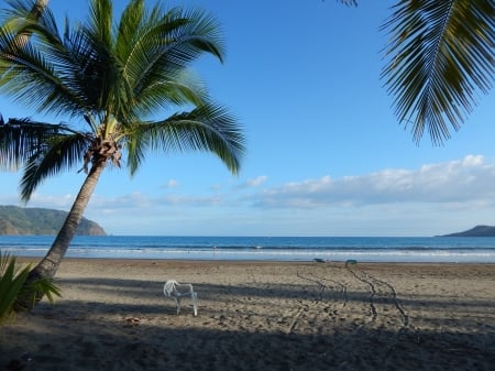 Beautiful Beach in Costa Rica