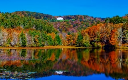 House above the Lake - nature, lake, autumn, trees, forest, house