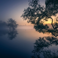 Foggy Earth Sunrise