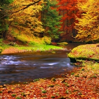 Autumn Tranquility