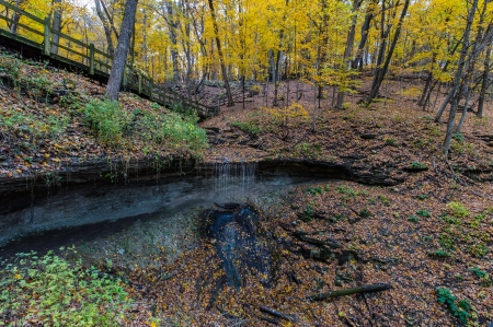 Bridal Falls - bridal falls, fall, trail, leaves, waterfall