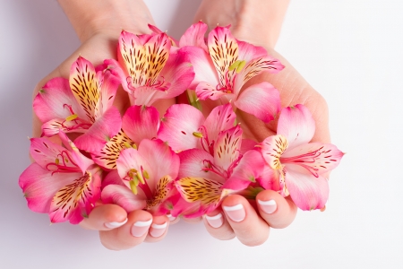 For you! - card, flower, hand, pink