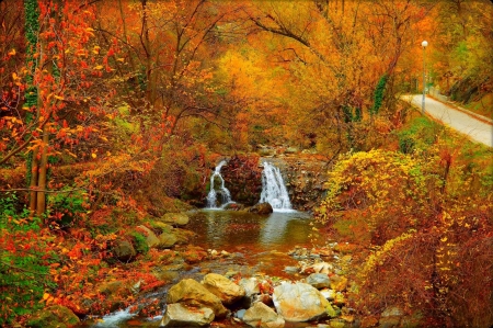 Autumn Forest - trees, waterfall, road, river