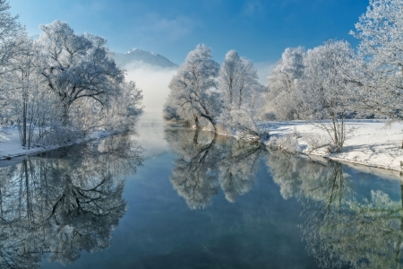 Winter - white, lake, iarna, blue, water, winter, tree