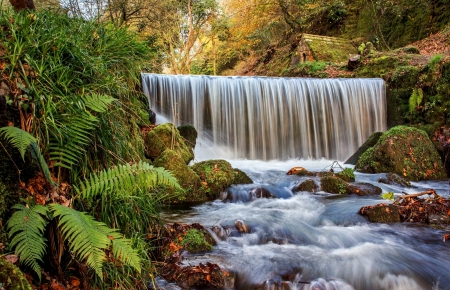 Nature Waterfalls