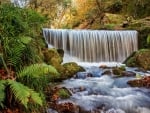 Nature Waterfalls