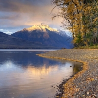 Fallen Leaves on the Shore of Lake McDonald