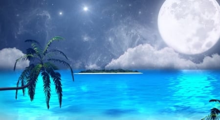 Moonlight - moon, water, summer, blue, sea, island, fantasy, cloud, full, luna, palm tree