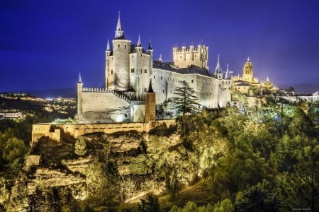 Castle Alcazar,Spain - spain, trees, alcazar, castle, night, lights