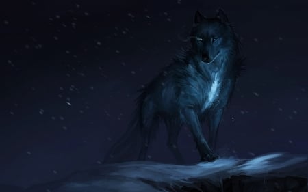 Wolf - lup, fantasy, blue, wolf, night, luminos