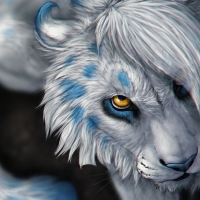 White tiger