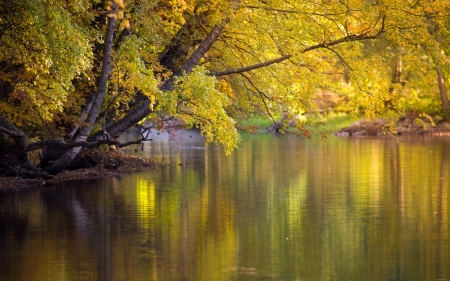 Colorful Water - river, trees, water, nature, autumn