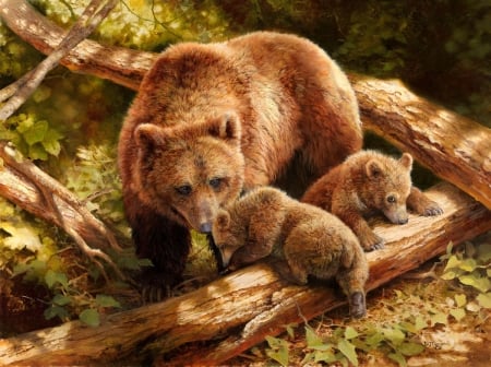 Bears - brown, art, cub, bear, animal, urs, bonnie marris