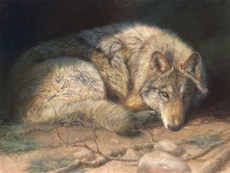 Light sleeper - wolf, painting, sleep, art, luminos, lup, pictura, bonnie marris