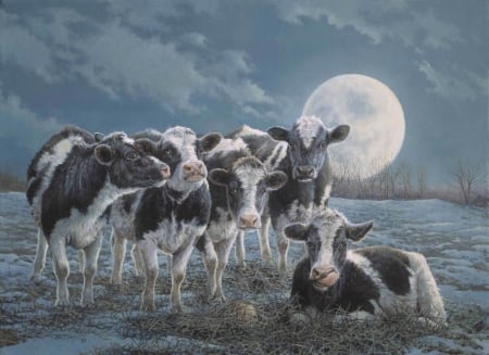 Mooooooooooo-----nlight - moon, cow, night, summer, vaca, painting, white, art, luminos, blue, animal, pictura, luna, bonnie marris