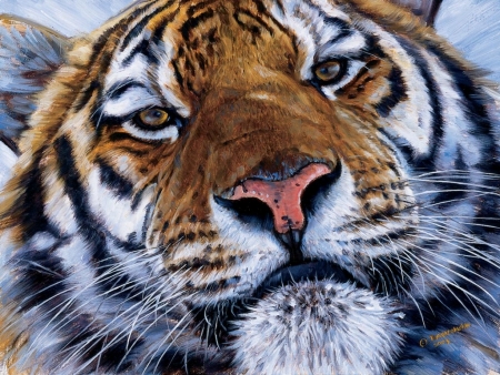 Tiger - john banovich, pictura, animal, painting, tigru, face, art, tiger